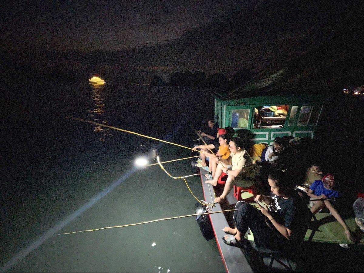 Kỹ thuật câu mực Vân Đồn không quá phức tạp nhưng đòi hỏi sự kiên nhẫn.