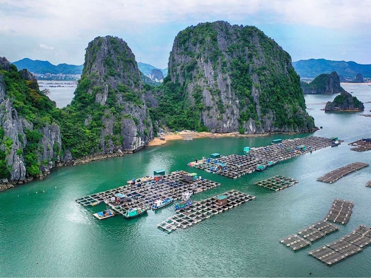Nằm giữa vịnh Bái Tử Long rộng lớn, di tích thương cảng Vân Đồn tọa lạc tại đặc khu Vân Đồn, tỉnh Quảng Ninh.