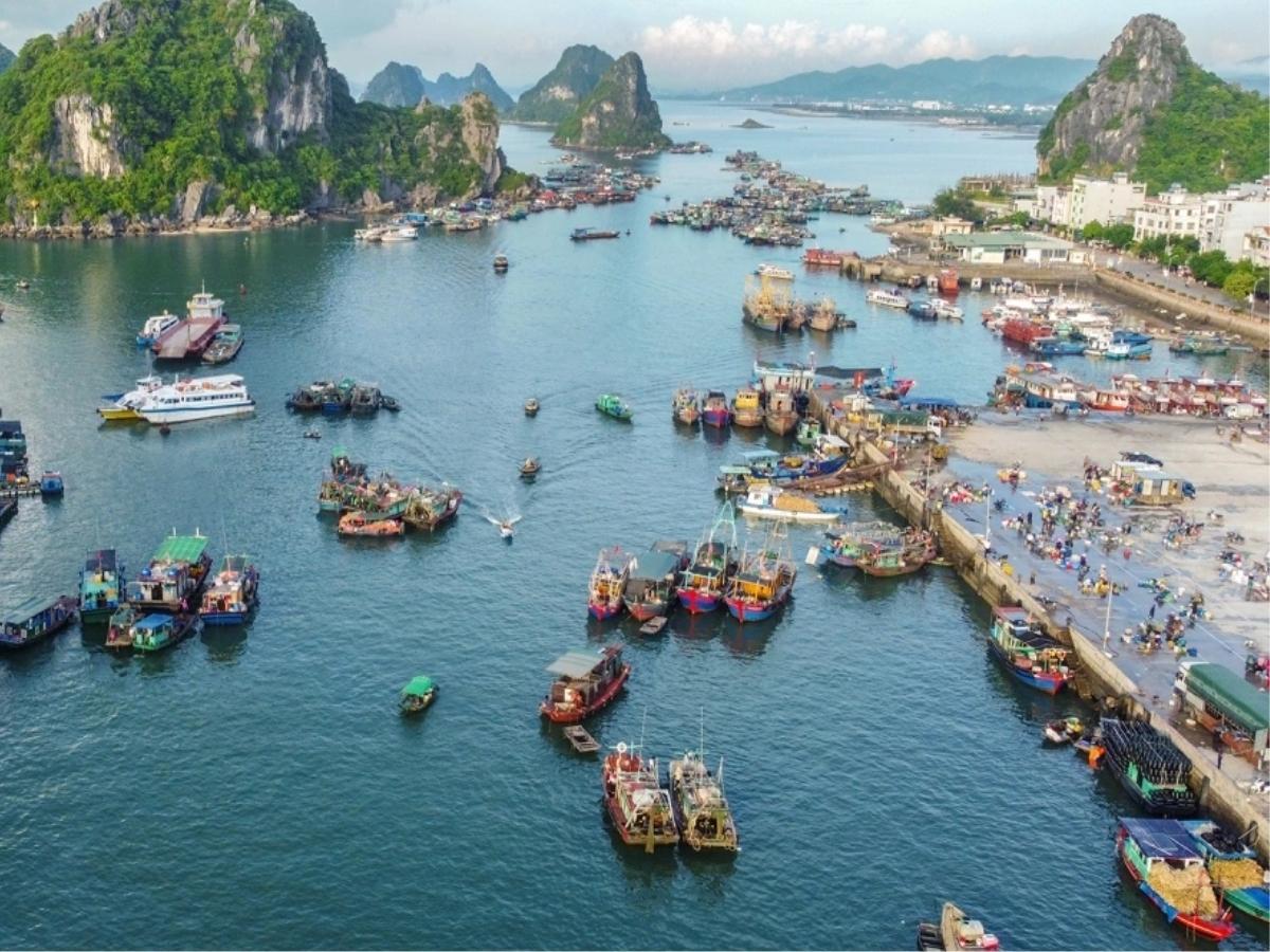 Di tích thương cảng Vân Đồn mang tầm vóc là thương cảng quốc tế đầu tiên của Đại Việt.