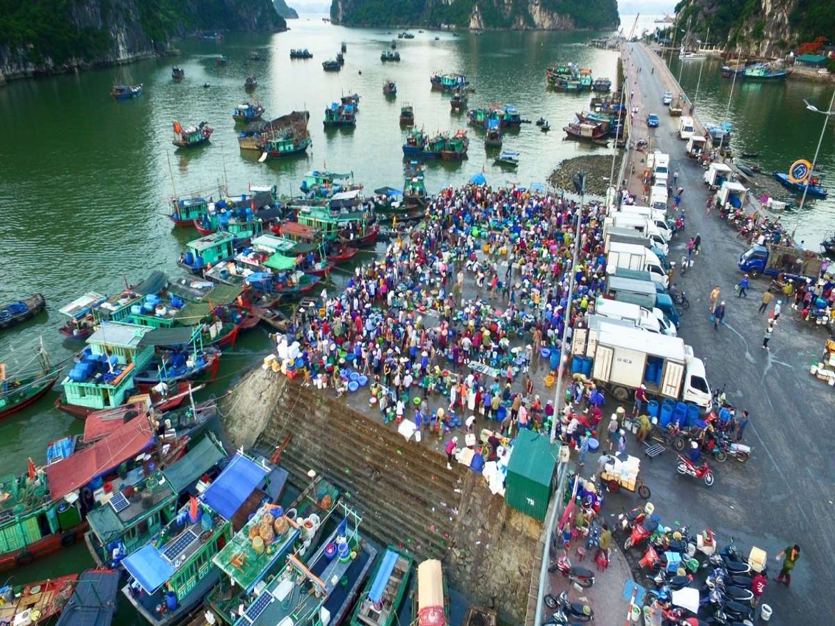 Nhờ khí hậu và điều kiện tự nhiên thuận lợi, nguồn hải sản nơi đây cực kỳ phong phú với giá trị kinh tế lớn.