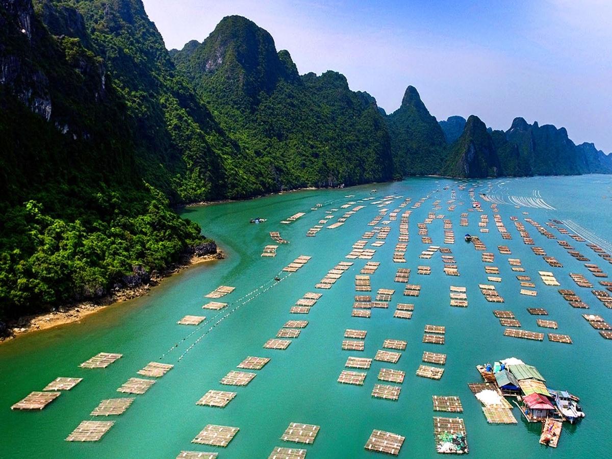Đảo Phất Cờ Vân Đồn có diện tích không lớn, du khách dễ dàng đi bộ tham quan toàn bộ đảo chỉ trong 2 – 3 giờ.