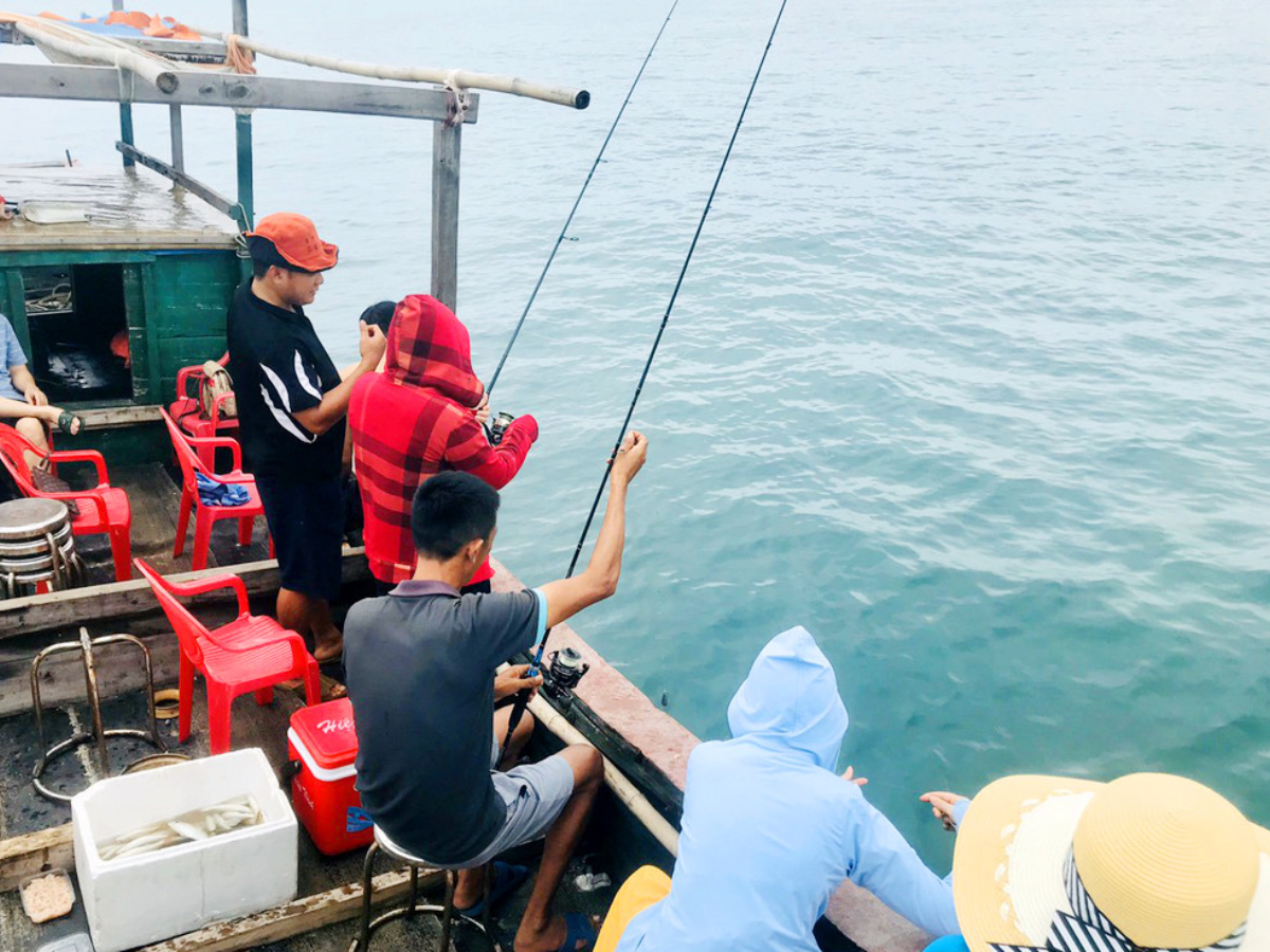 Hoạt động câu mực đêm tại Cô Tô được phát triển thành tour trải nghiệm cho du khách.