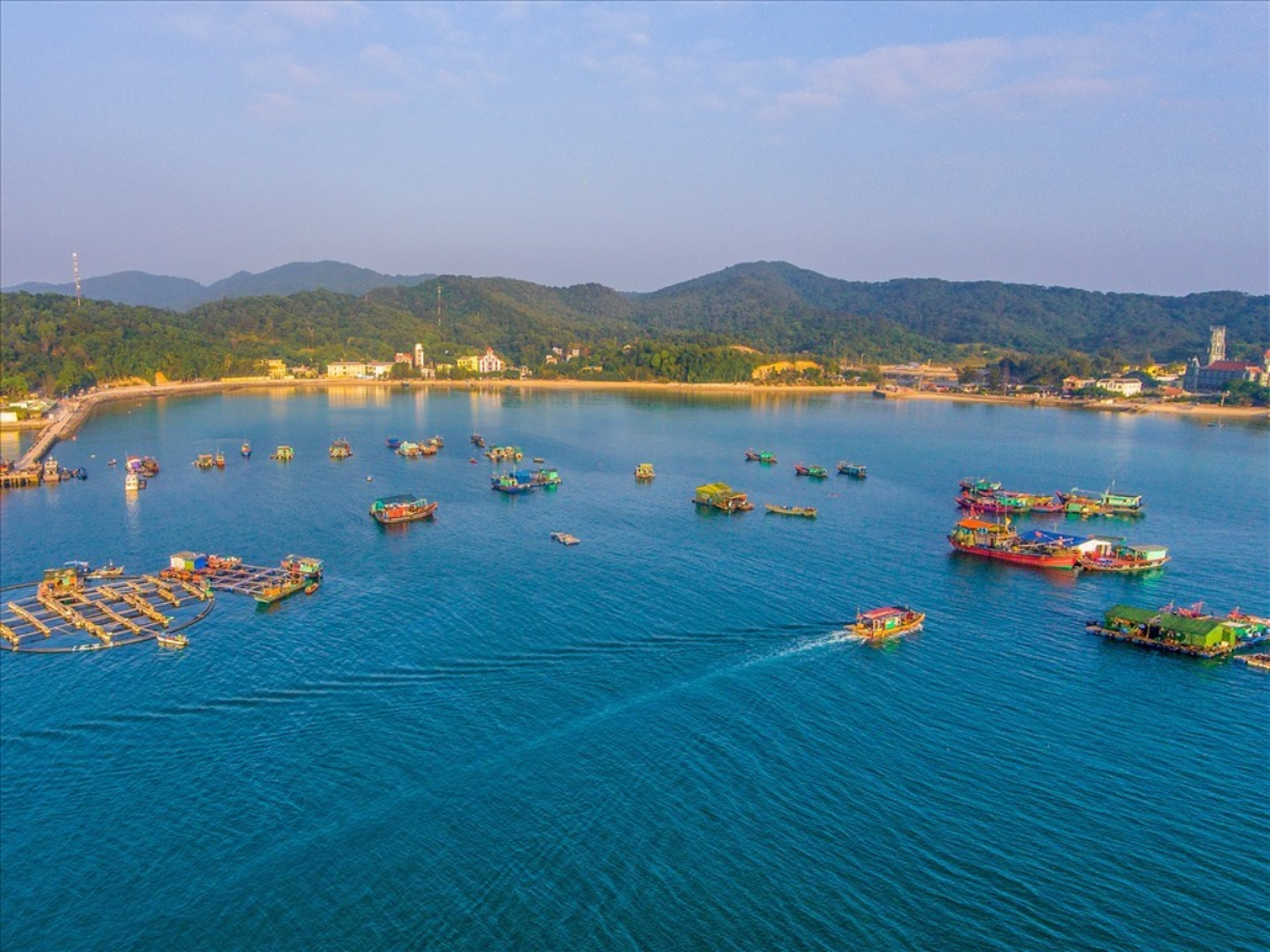 Cầu cảng, bến bãi và kho lưu trữ tại Bắc Vàn được bố trí khoa học, đáp ứng nhu cầu hàng hóa.