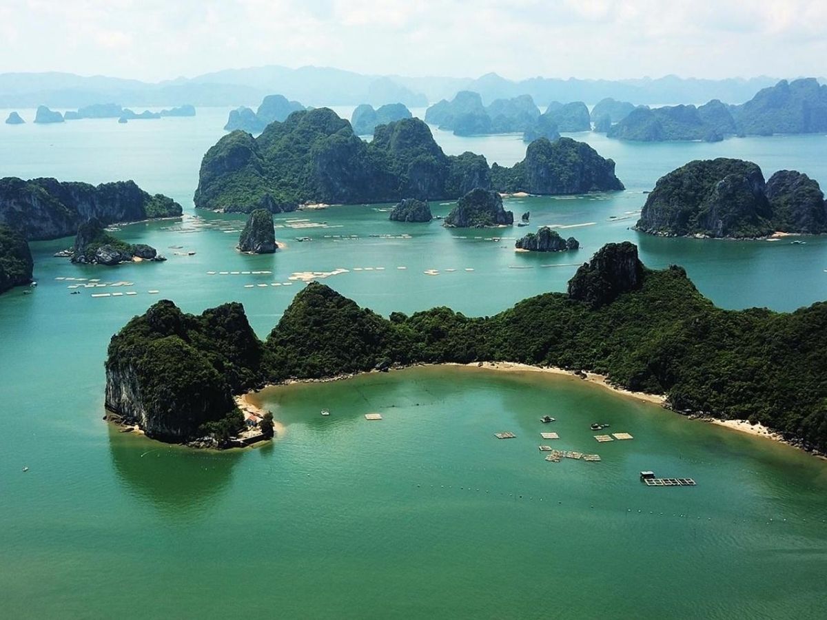 Nằm nép mình bên vùng vịnh Bái Tử Long, Cẩm Phả được thiên nhiên ban tặng nguồn hải sản đa dạng và tươi ngon theo mùa.