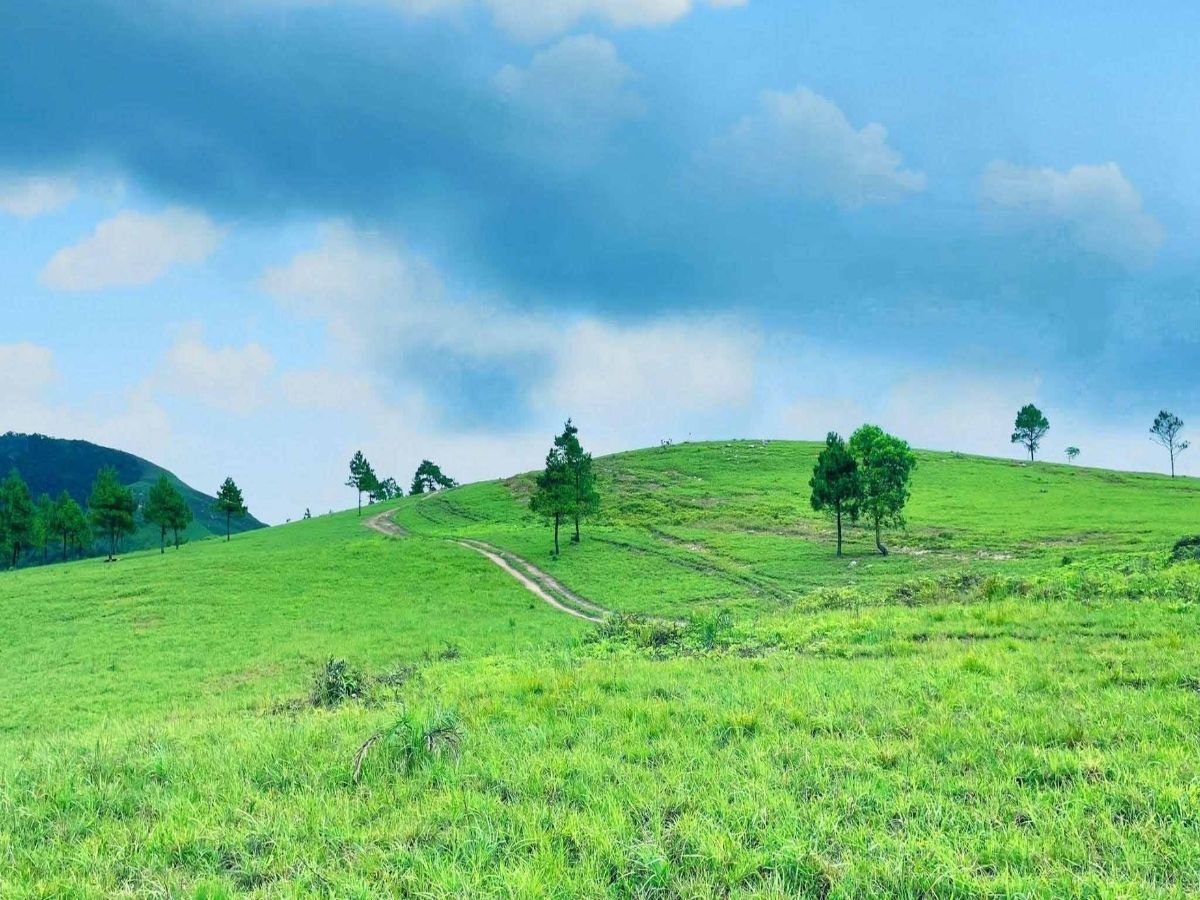 Đỉnh Phượng Hoàng tràn ngập sức sống với những thảm cỏ xanh rì kéo dài tận chân trời.