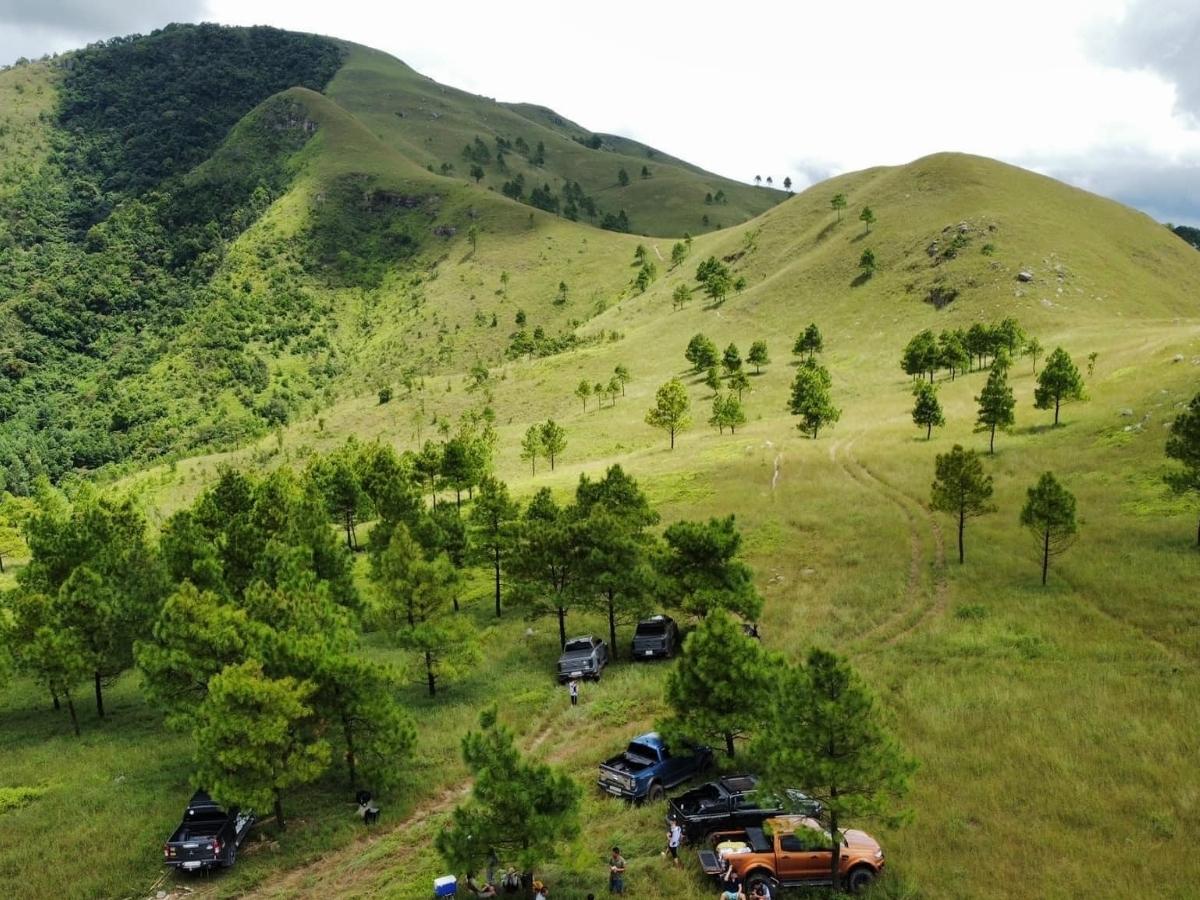 Đỉnh Phượng Hoàng nay đã thu hút đông đảo người yêu trekking tìm đến.