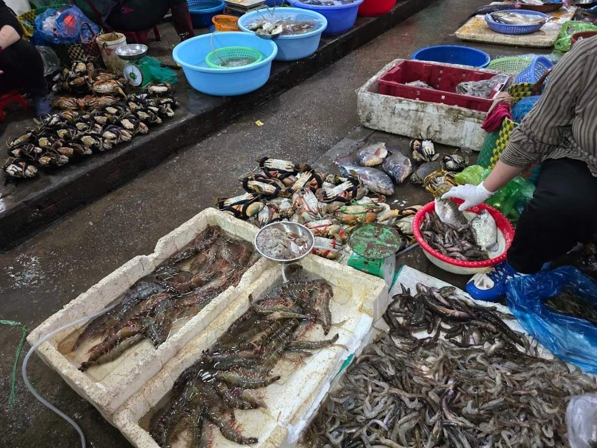 Bước vào khu vực bán hải sản của Chợ Rừng Quảng Ninh, bạn sẽ choáng ngợp trước sự đa dạng và tươi ngon của các loại hải sản.