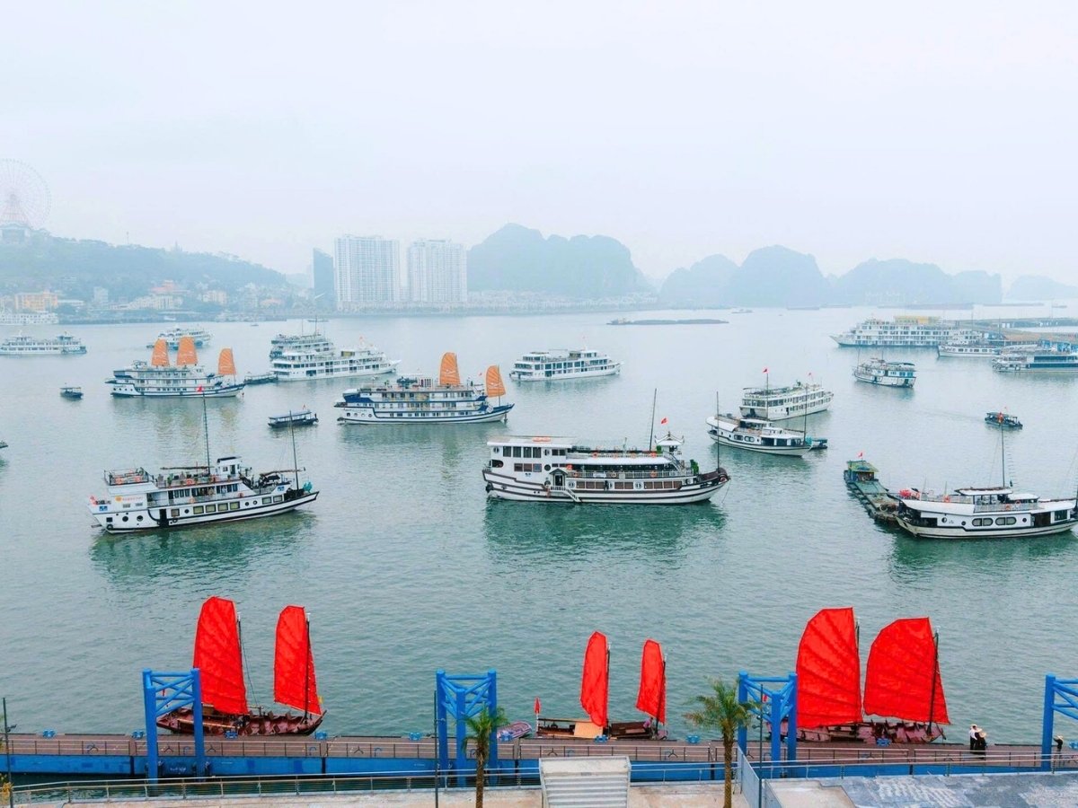 Đi tàu ghép tham quan Vịnh Hạ Long trong ngày là hình thức được nhiều du khách lựa chọn vì chi phí hợp lý và lịch trình cố định