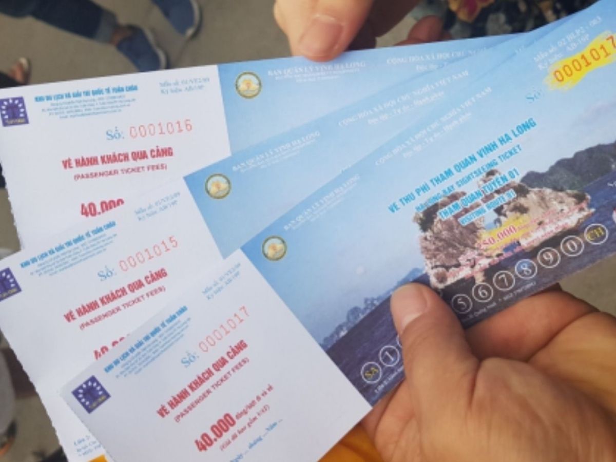 Nhiều du khách cũng quan tâm mua vé tham quan vịnh Hạ Long ở đâu 2026 để lựa chọn hình thức tham quan phù hợp.