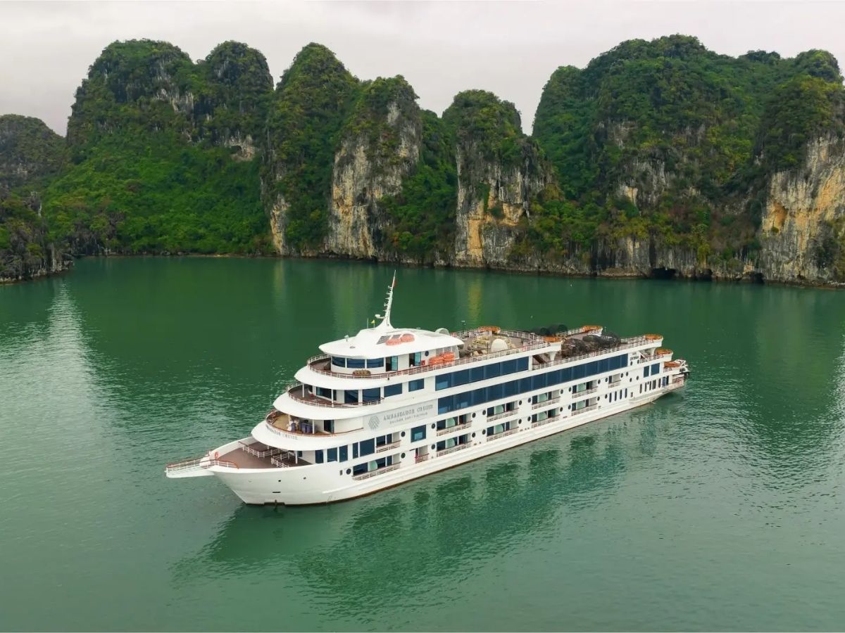 Hiện nay, phần lớn du thuyền hoạt động trên vịnh đều đạt tiêu chuẩn cao cấp với thiết kế hiện đại, không gian rộng rãi và nhiều tiện nghi sang trọng.