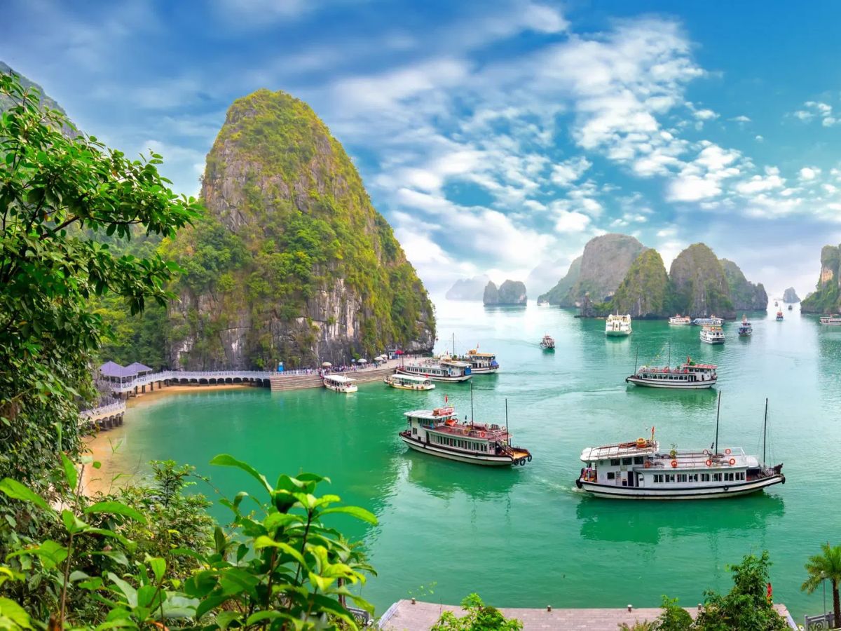 Du lịch Hạ Long cùng gia đình không thể thiếu hành trình tham quan Vịnh Hạ Long.