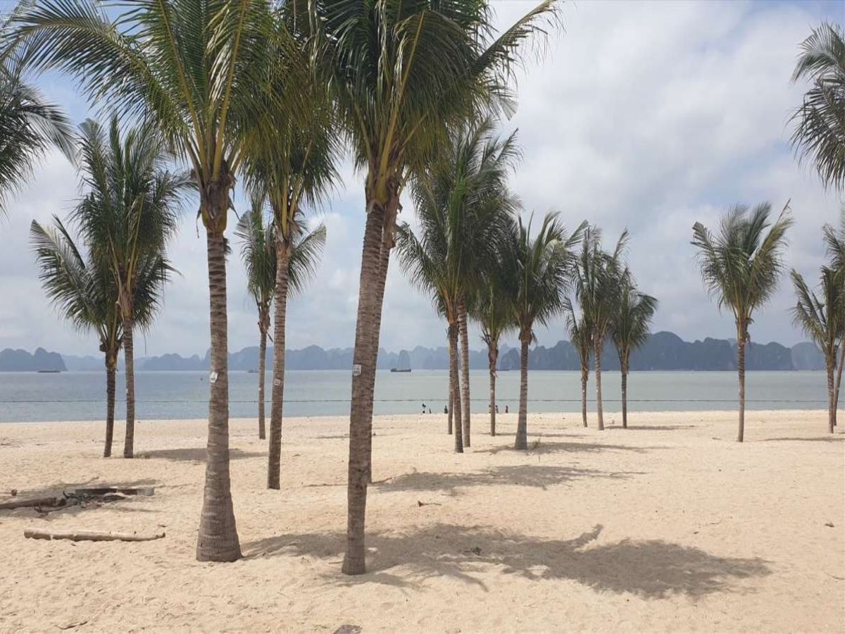 Bãi Cháy được nhiều người biết đến là bãi tắm tự nhiên đẹp nhất trong tour Quảng Ninh mùa hè.