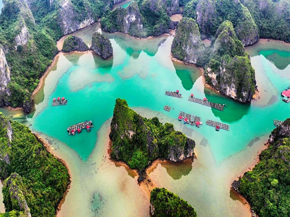 Làng chài Vung Viêng là một trong những làng chài cổ tiêu biểu của vịnh Bái Tử Long, lưu giữ nét sinh hoạt truyền thống của ngư dân miền biển.