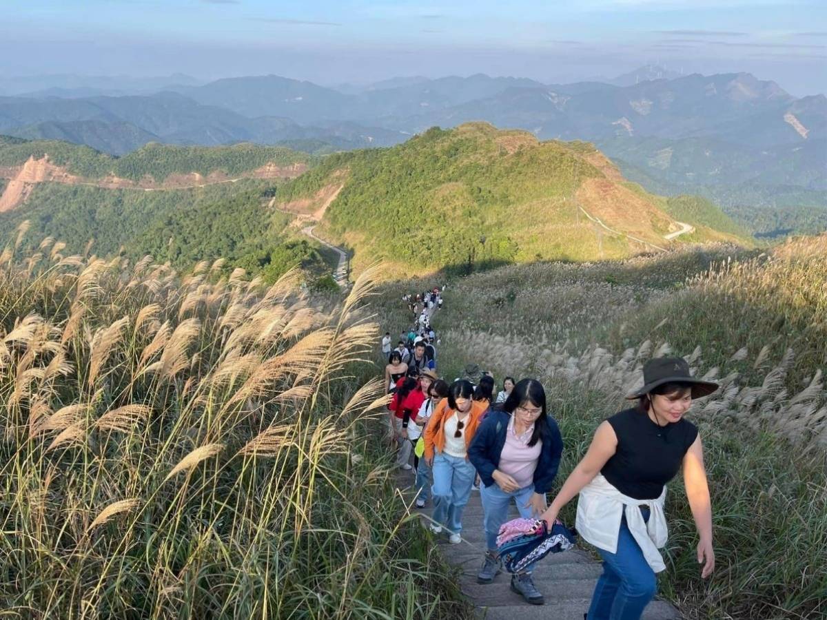 Khi tham gia trekking Quảng Ninh, việc lựa chọn trang phục phù hợp với địa hình núi rừng phức tạp và thời tiết thay đổi là điều không thể bỏ qua.