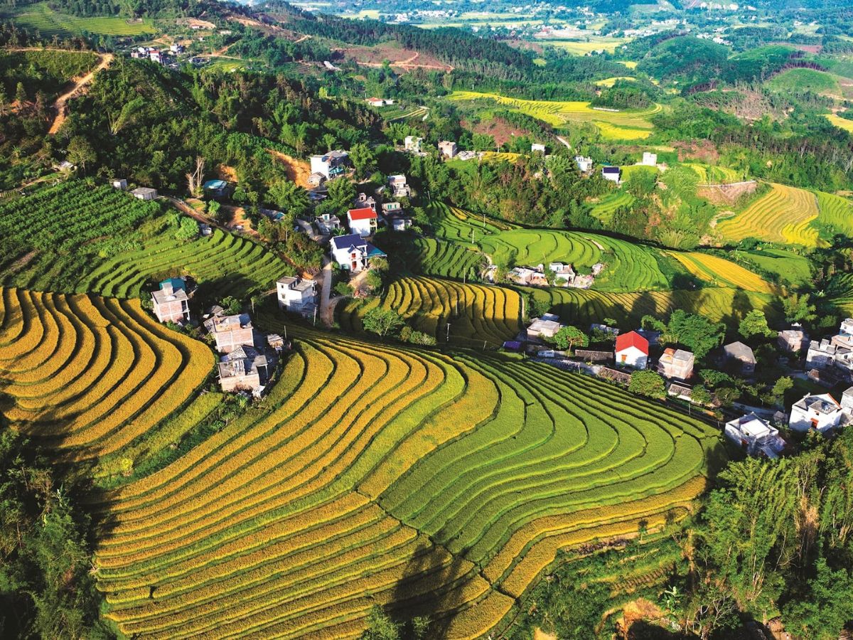 Du khách yêu thích nhiếp ảnh nên chọn đúng thời điểm và trang bị máy ảnh xịn để check-in ruộng bậc thang