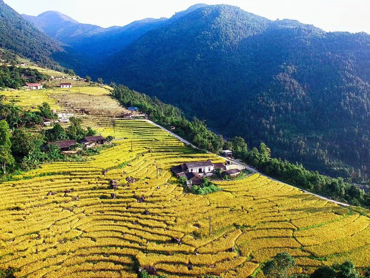 Ruộng bậc thang Bình Liêu phân bổ tại các xã Lục Hồn, Đồng Văn và Hoành Mô