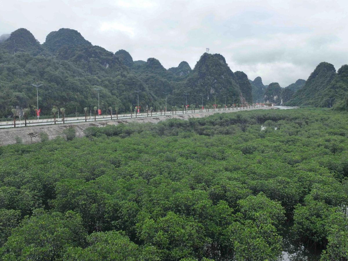 Đường ven biển Hạ Long – Cẩm Phả