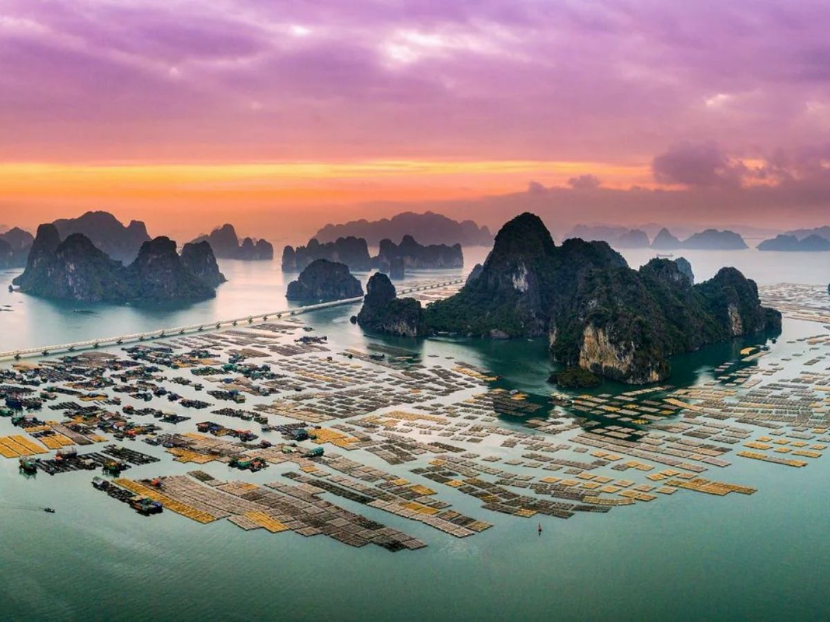 Vịnh Bái Tử Long và Vịnh Hạ Long
