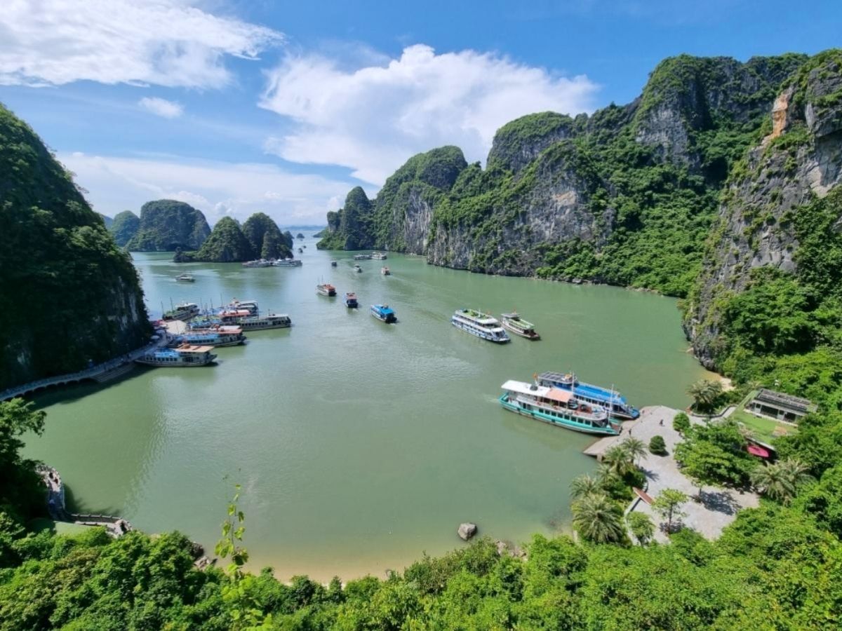 Tour du thuyền Hạ Long 3 ngày 2 đêm được xem là lựa chọn lý tưởng để du khách khám phá trọn vẹn vẻ đẹp của vịnh.
