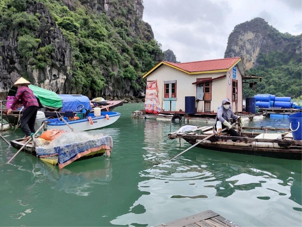Làng chài Hạ Long và nghề truyền thống của ngư dân