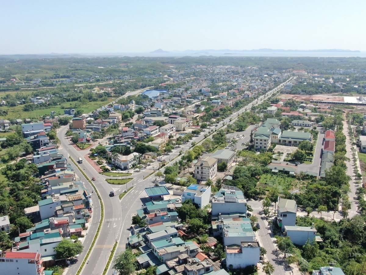 Khi nhắc đến câu hỏi Đầm Hà có đặc sản gì, nhiều du khách sẽ bất ngờ bởi vùng đất này không chỉ sở hữu nguồn hải sản phong phú