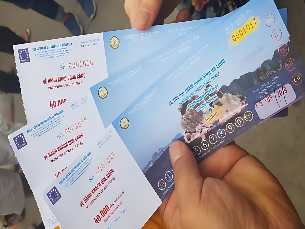 Chi phí tour Hạ Long trong ngày theo loại tàu và dịch vụ