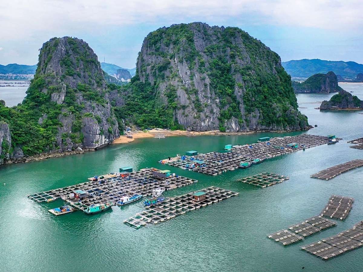 Một trong những trải nghiệm không thể bỏ lỡ trong thời tiết Hạ Long tháng 9 là tham quan Vịnh Hạ Long bằng du thuyền