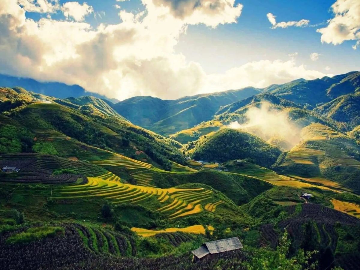 Chọn ở gần những thửa ruộng bậc thang xanh mướt.