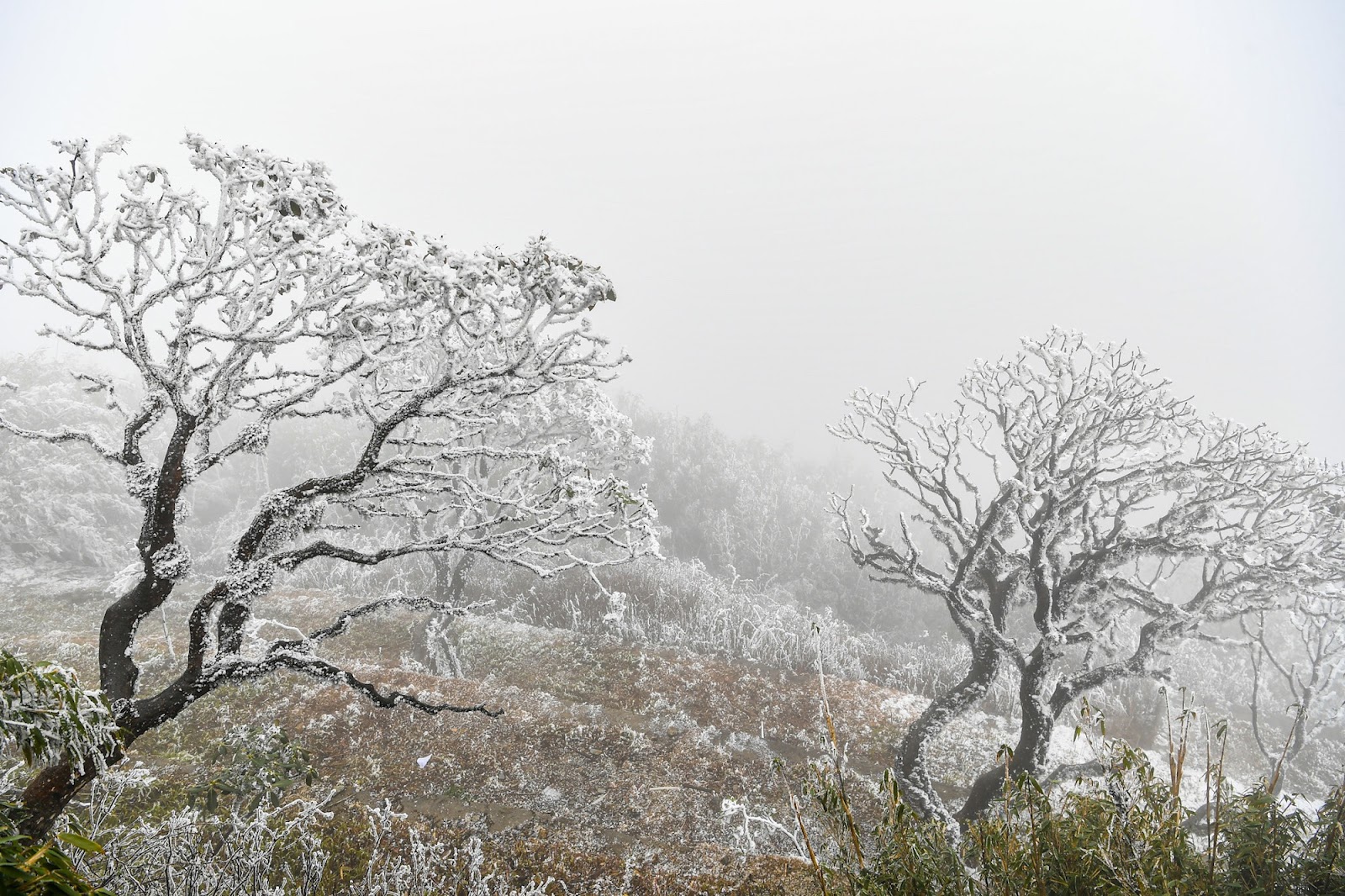 Hiện tượng tuyết rơi hiếm gặp tại Sa Pa.