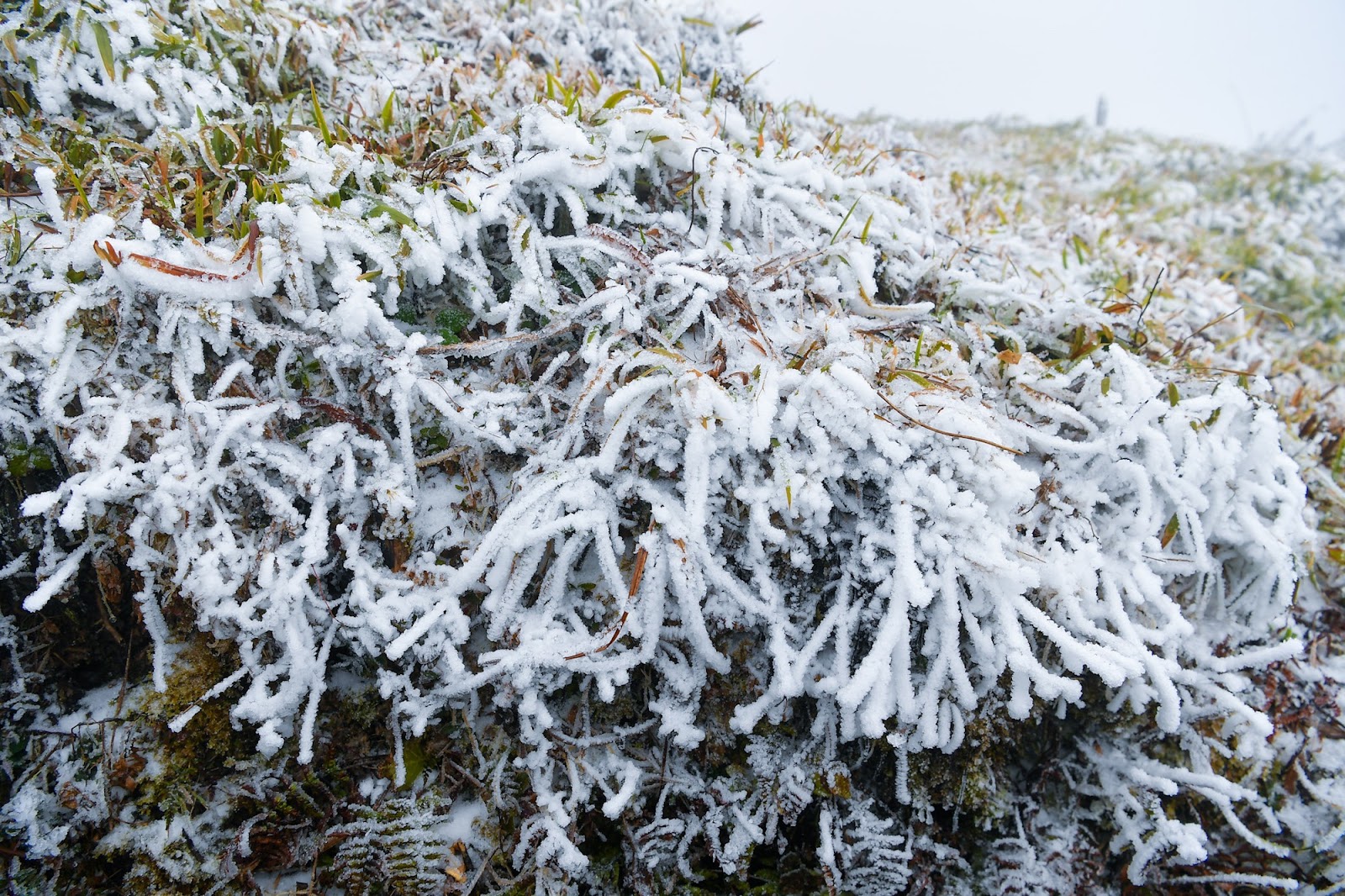 Băng tuyết tạo nên phong cảnh kỳ thú trên đỉnh đèo Ô Quy Hồ.