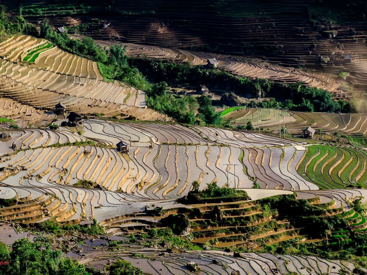 Từ hoang sơ tới thơ mộng, Sapa giống một thiếu nữ e thẹn xinh đẹp giữa trời Tây Bắc.
