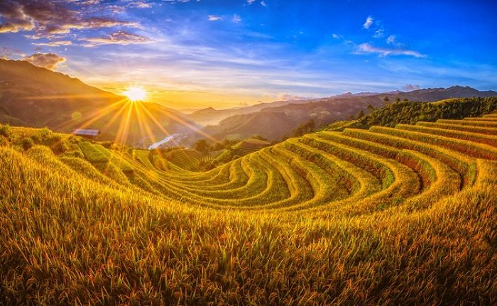 Sa Pa's golden rice season is a prime travel time for all visitors.