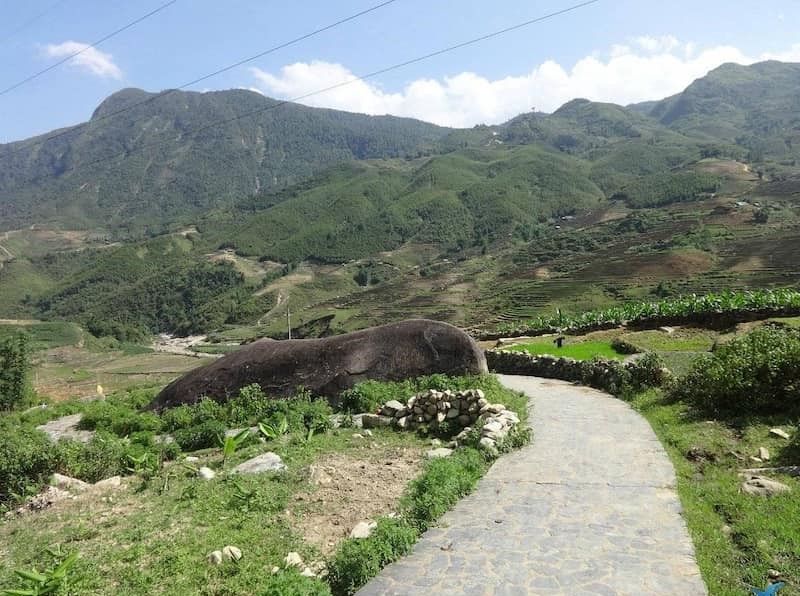 The stone field is located in the Muong Hoa valley.