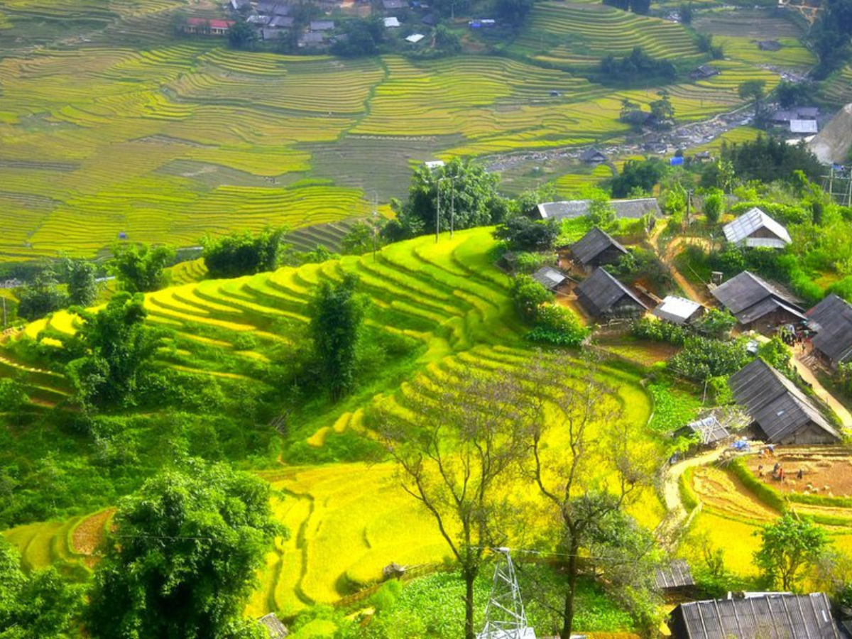 Bản Sín Chải - “viên ngọc ẩn” giữa núi rừng Sa Pa.