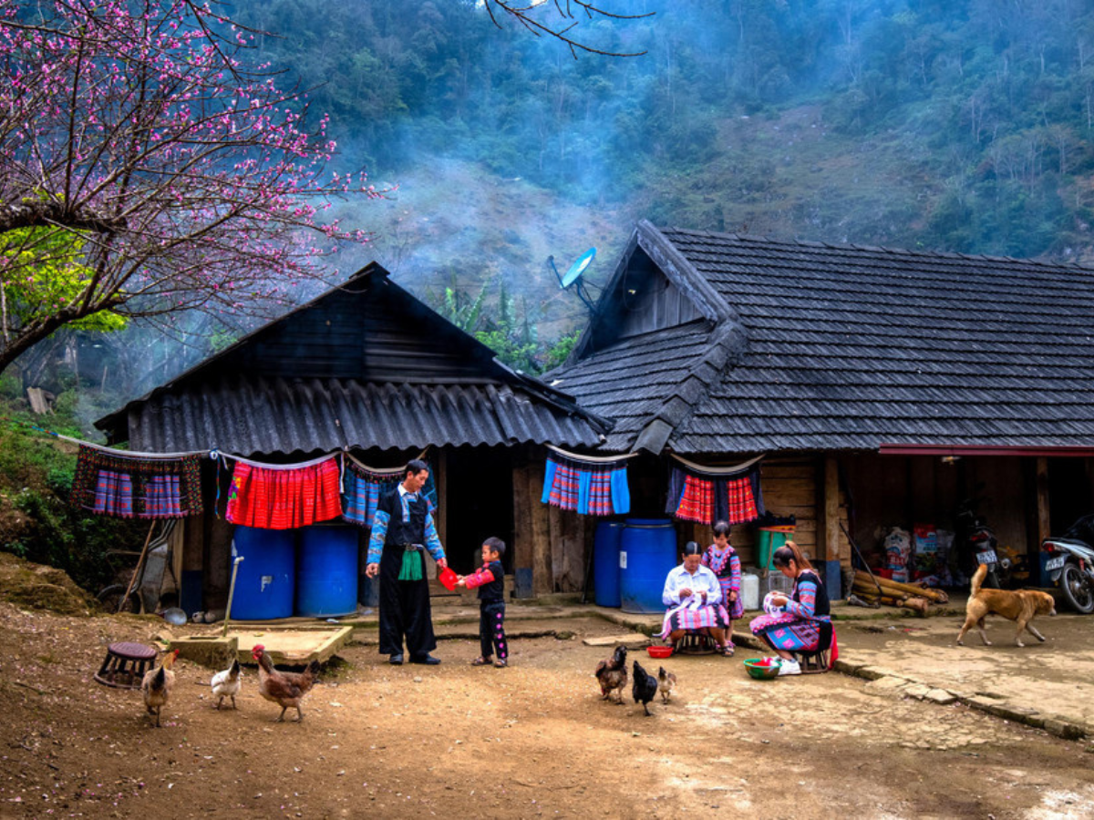 Nhà gỗ pơ mu của người Mông Đen - dấu ấn kiến trúc giữa núi rừng Tây Bắc.