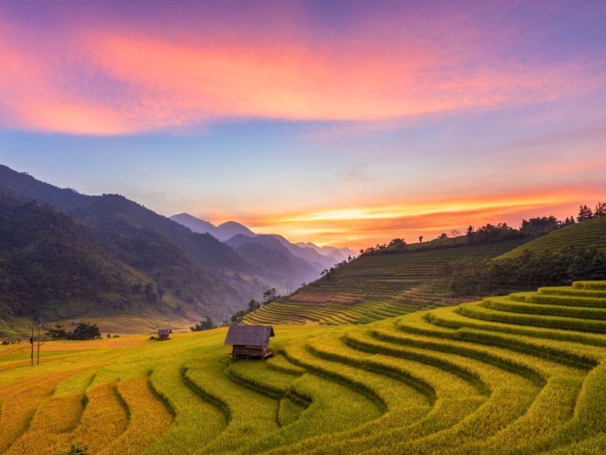 Những thửa ruộng uốn lượn quanh sườn núi tạo nên vẻ đẹp đặc trưng của Sa Pa