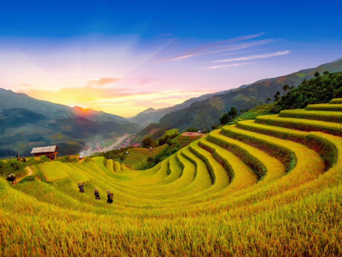 Ruộng bậc thang Sapa óng ánh trong mùa nước đổ, phản chiếu mây trời Tây Bắc.