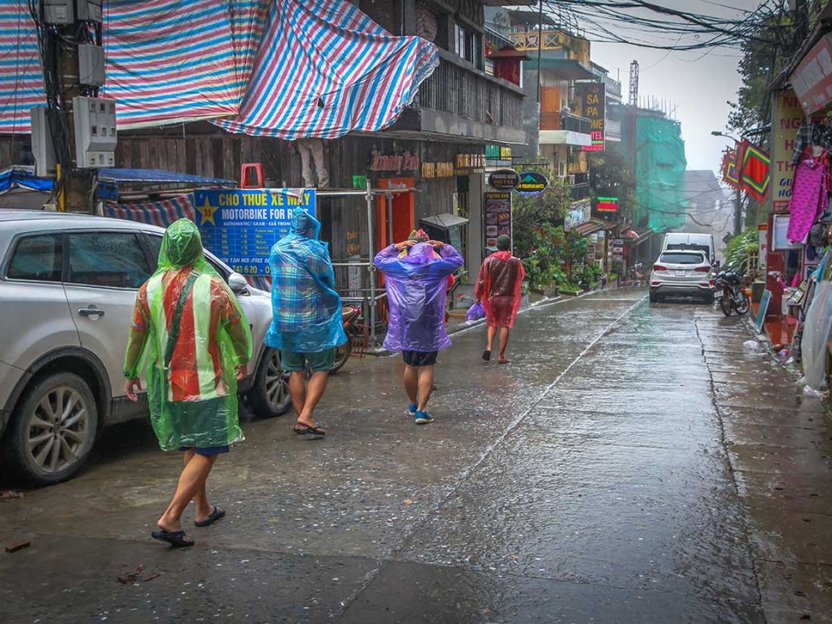 Mùa mưa Sa Pa – thời điểm thử thách nhưng cũng là lúc du khách cảm nhận rõ nhất hơi thở chân thật của núi rừng Tây Bắc