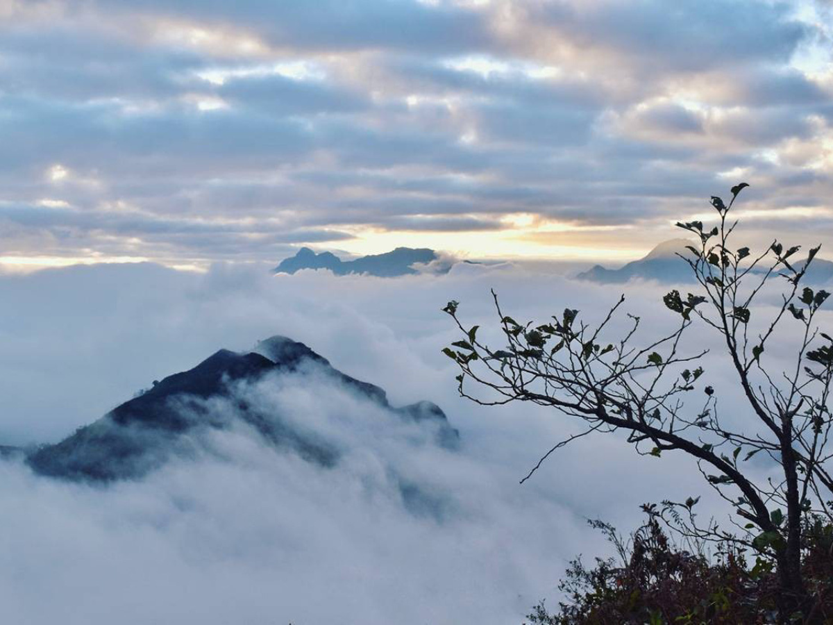 Điểm săn mây Dê Chú Thàng mang đến khung cảnh bồng bềnh giữa núi rừng Sa Pa