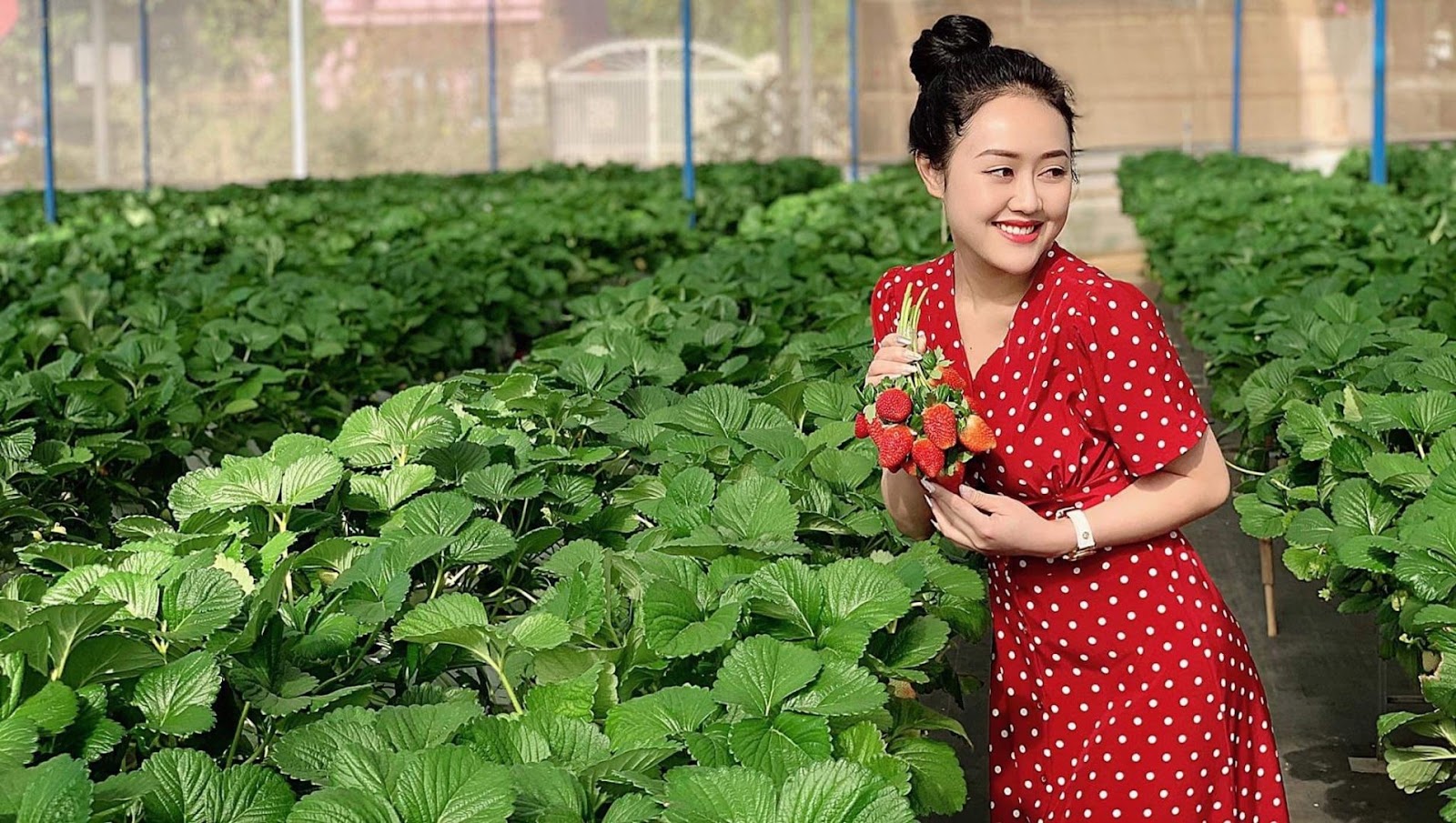 Du khách check-in tại vườn dâu