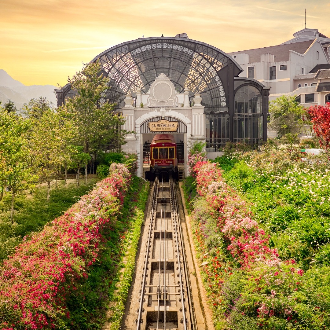 Đoàn tàu leo núi màu đỏ rực rỡ đưa du khách băng qua thung lũng Mường Hoa hùng vĩ.