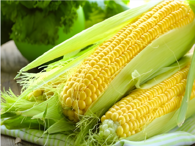 Món bánh ngô Sa Pa được chế biến từ ngô non vừa thu hoạch.