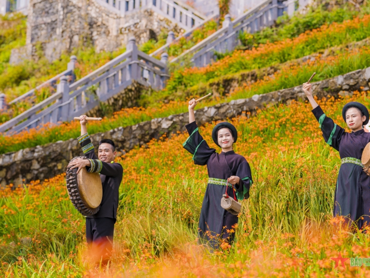 Mùa hoa dơn thóc khoe sắc rực rỡ giữa ngoại ô Sa Pa.