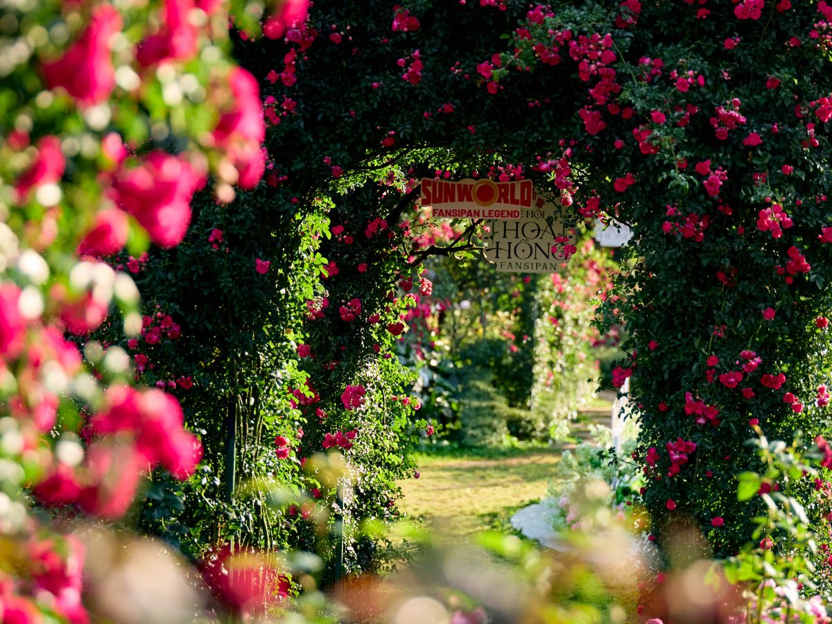 Trải nghiệm mùa đông độc đáo tại Sun World Fansipan Legend.