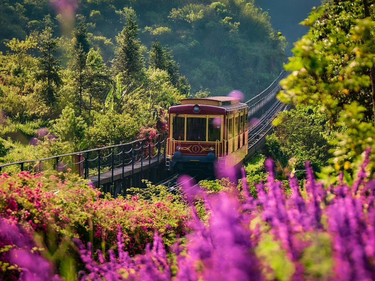 Sa Pa khoác lên mình sắc màu rực rỡ mỗi dịp Tết đến, xuân về.