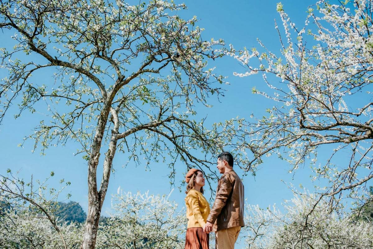 Hoa đào, hoa mận nở rộ tạo nên khung cảnh nên thơ, lãng mạn trong tiết trời xuân.