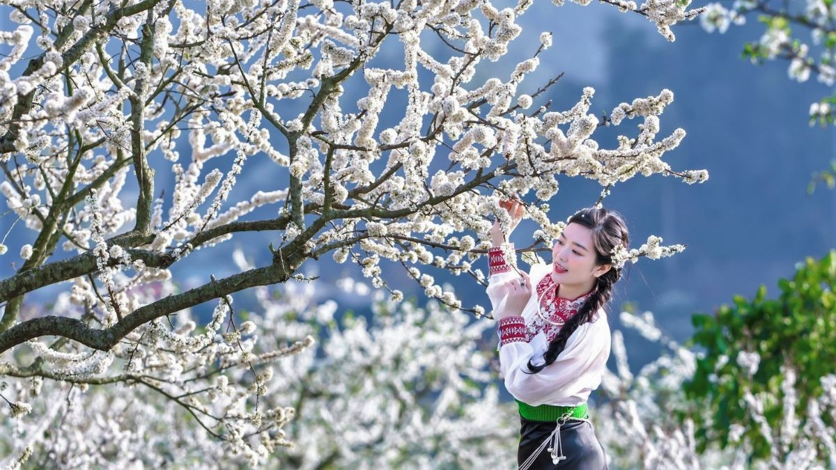 Sắc hoa đào, hoa mận nở rộ tạo nên khung cảnh mùa xuân đặc trưng của Sa Pa dịp Tết.