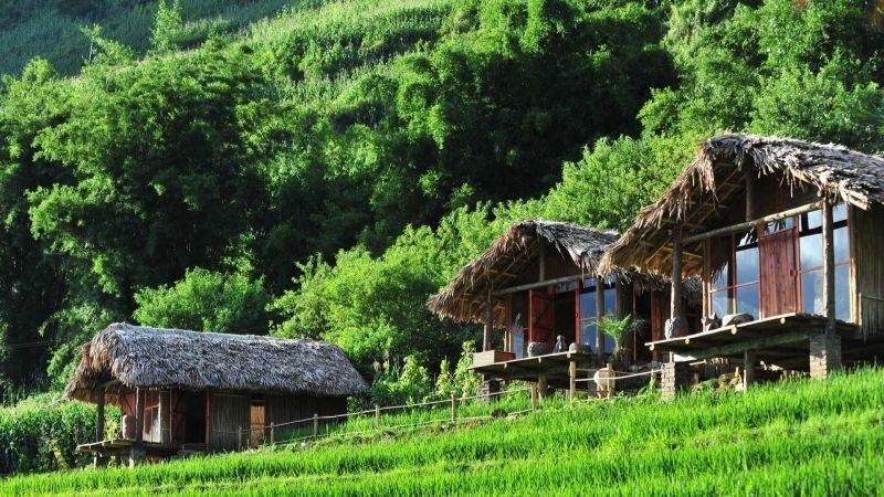 Các homestay tại Sa Pa mang đến cho du khách trải nghiệm nghỉ dưỡng ấm cúng, gần gũi với thiên nhiên.