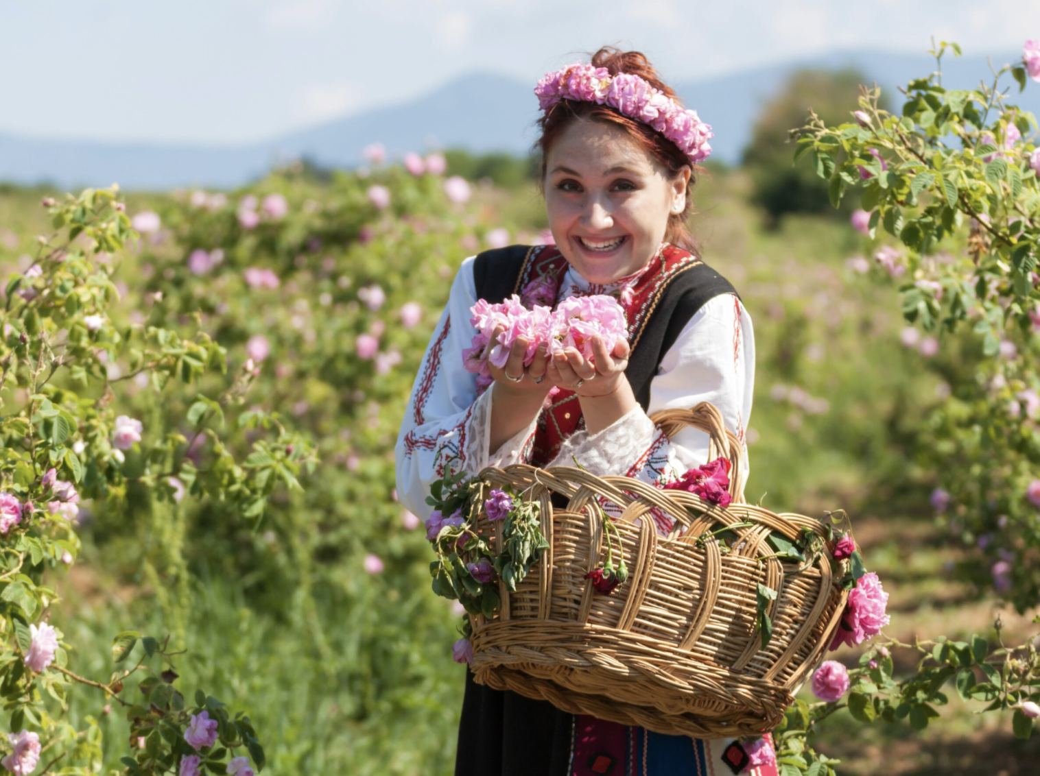 Lễ hội hoa hồng được tổ chức tại thung lũng hoa hồng thuộc khu du lịch Sun World Fansipan Legend.