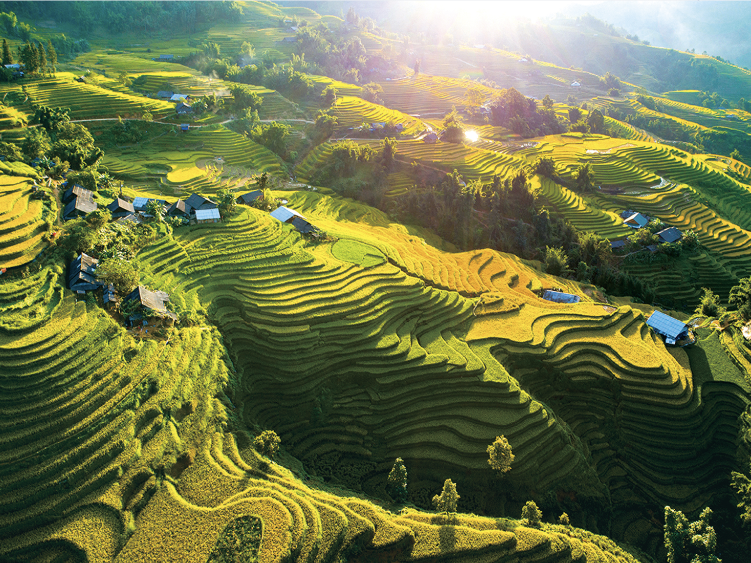 Sa Pa được yêu thích vào thời điểm này chính là khí hậu mát mẻ và dễ chịu.